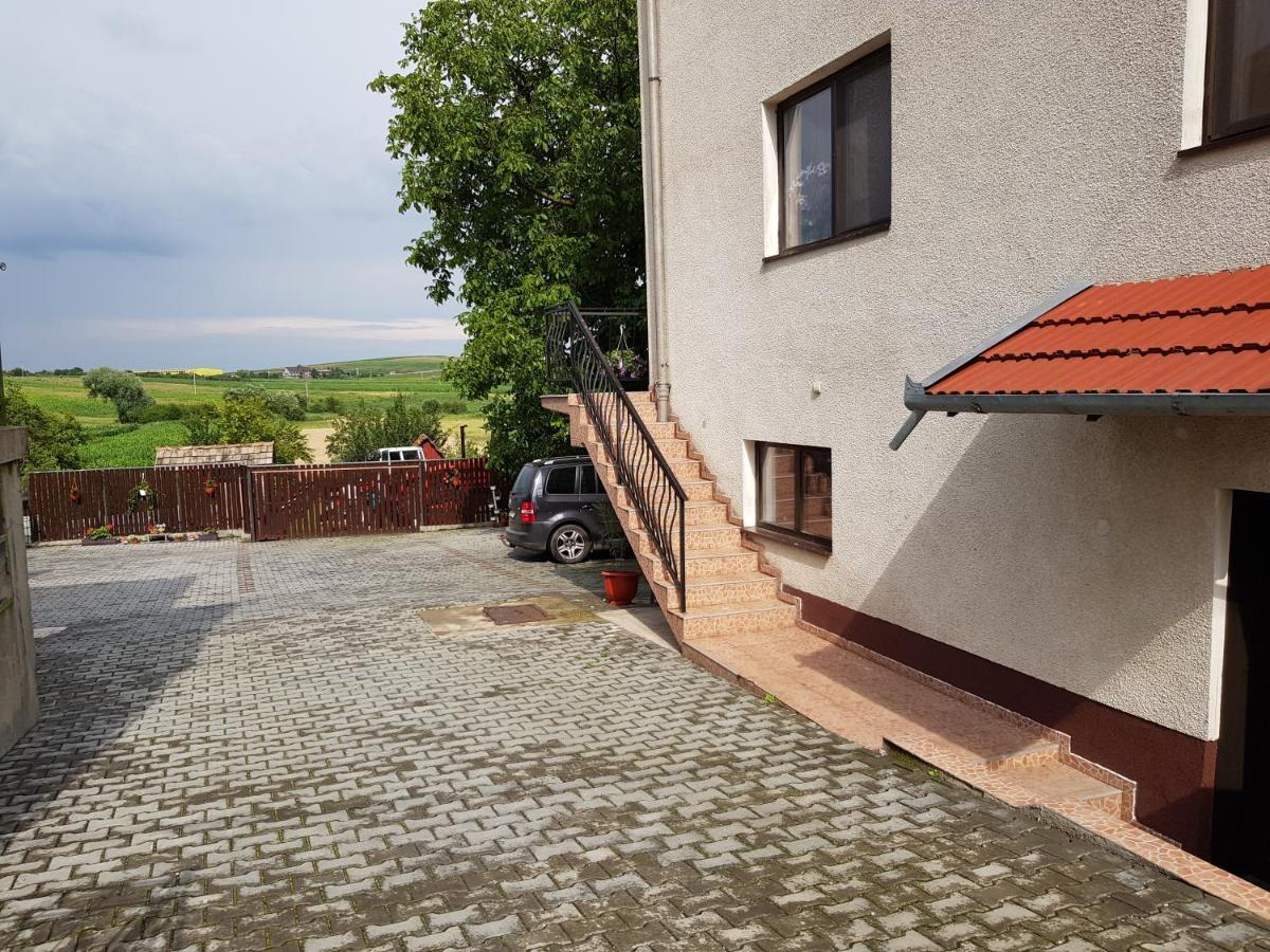 Apartamento Gold Fayen House Cheile Turului Tureni Exterior foto